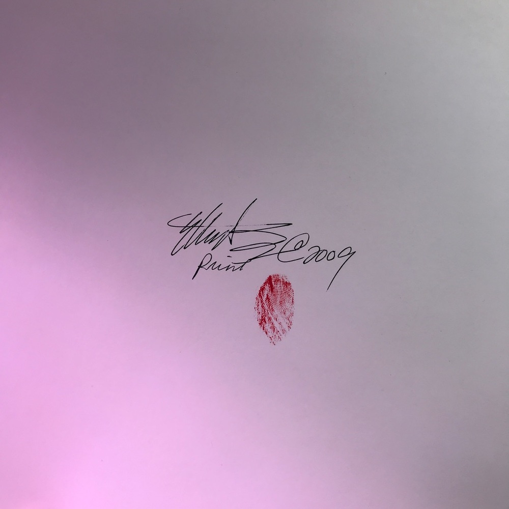 Print dove in vineyard art artwork direct from artist collectible USA Artettina - Picture 3 of 3